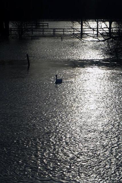 7. Flood.jpg